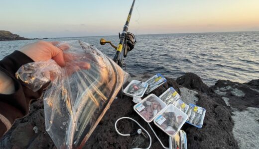 東京都伊豆大島で釣りするなら知りたい情報まとめ